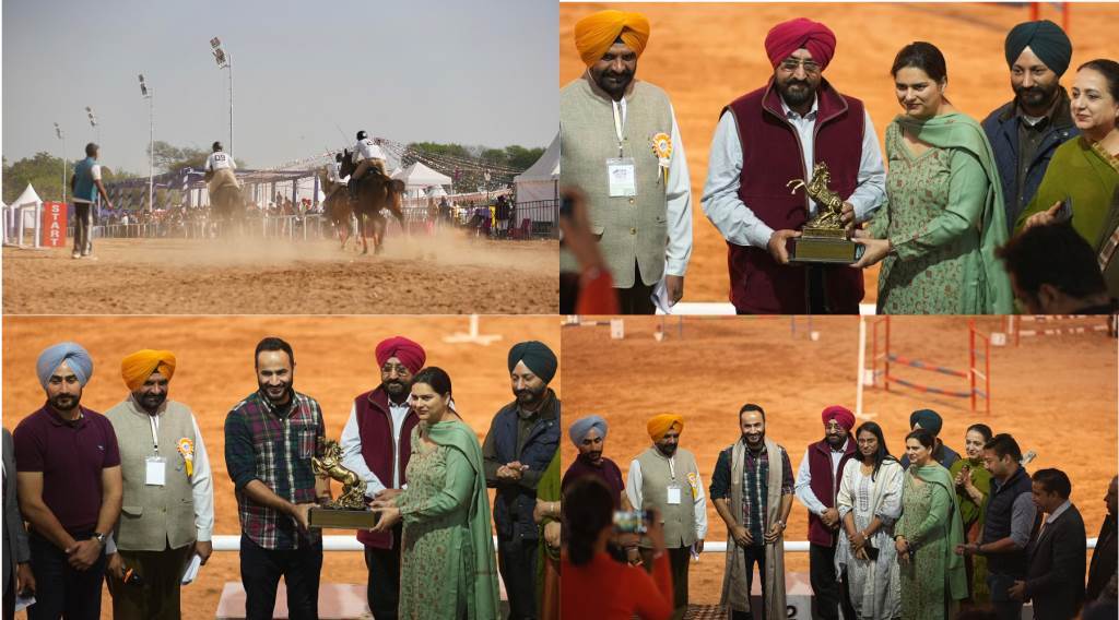 Punjab Equestrian Festival 20 Concludes with Grandeur at Palanpur